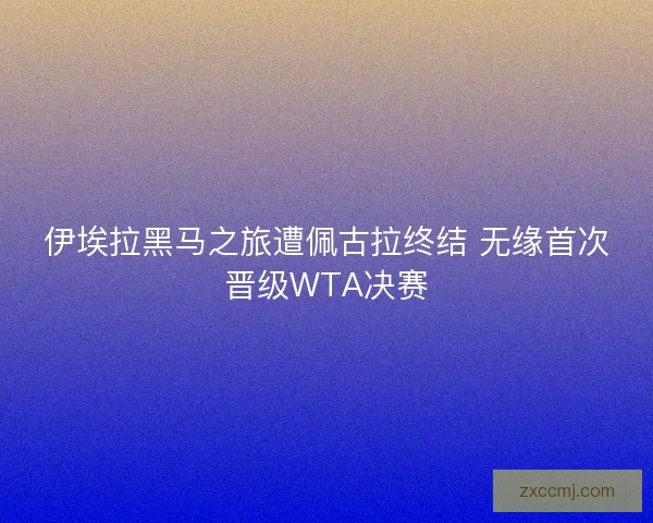 伊埃拉黑马之旅遭佩古拉终结 无缘首次晋级WTA决赛