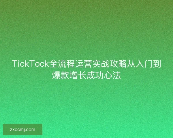TickTock全流程运营实战攻略从入门到爆款增长成功心法